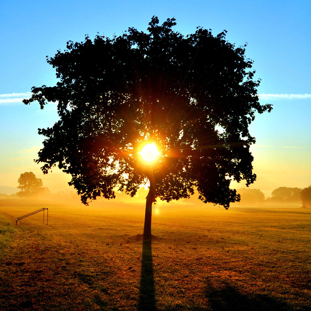 清晨阳光照耀你的正能量故事图片
